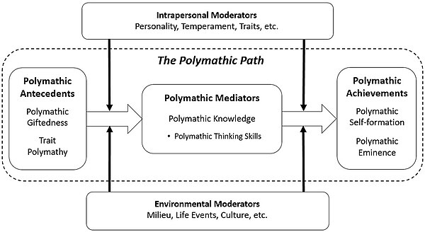 The Developmental Model of Polymathy (DMP)