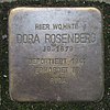 Dora Rosenberg-Löwenstrasse 50 (Hamburg-Hoheluft-Ost). Stolperstein.nnw.jpg