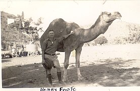 Henry Foote standing in front of a Camel.