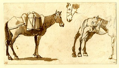 Claude Lorrain, Dessin de mules, 1630-1640.