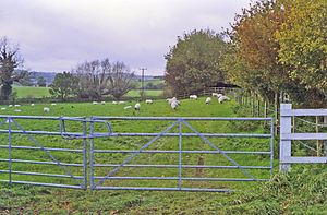 East Garston station site geograph-3444028-by-Ben-Brooksbank.jpg