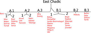 <span class="mw-page-title-main">East Chadic languages</span> Afro-Asiatic language branch