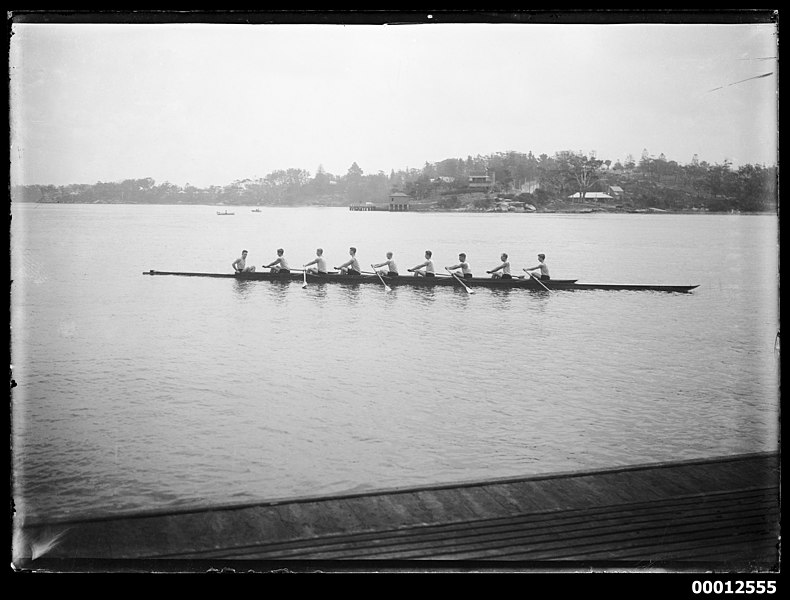 File:Eights rowing team on Sydney Harbour (8507777485).jpg