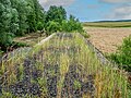 * Nomination Ballast bed of the disused Strullendorf-Ebrach railway line over the Mittelebrach near Krumbach --Ermell 11:33, 8 December 2023 (UTC) * Promotion  Support Good quality. --Ercé 12:29, 8 December 2023 (UTC)