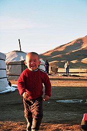 Mongolia: Sejarah, Geografi, Politik