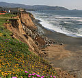 * Nomination Erosion in Pacifica--Mbz1 00:35, 28 July 2010 (UTC) * Promotion very good -- George Chernilevsky 06:28, 28 July 2010 (UTC)