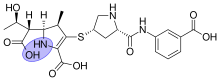 The main metabolite in humans, which is pharmacologically inactive Ertapenem open-ring metabolite.svg