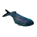 †Birkenia robusta. Kuni 10 cm pikkune lõuatu kala, kes oli ilmselt tänapäevaste silmude kauge eellane.