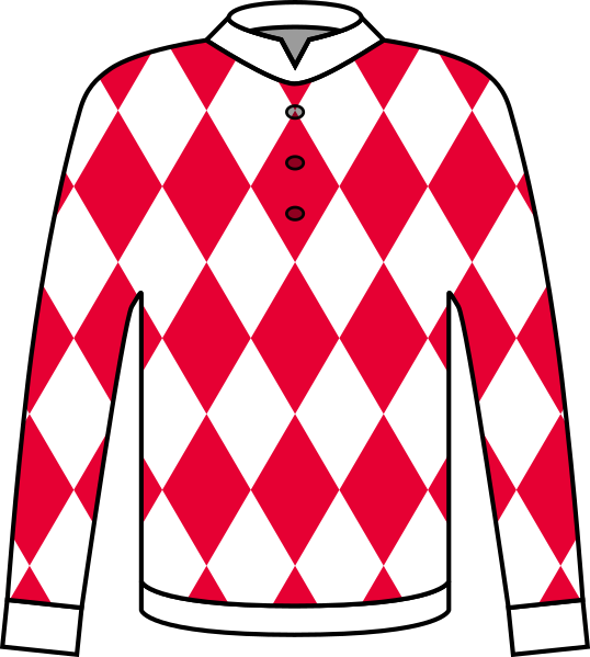 File:Example of Horse Racing Colours of Japan 20.svg