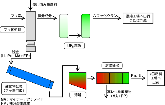 FLUOREX法の処理フローの概略図