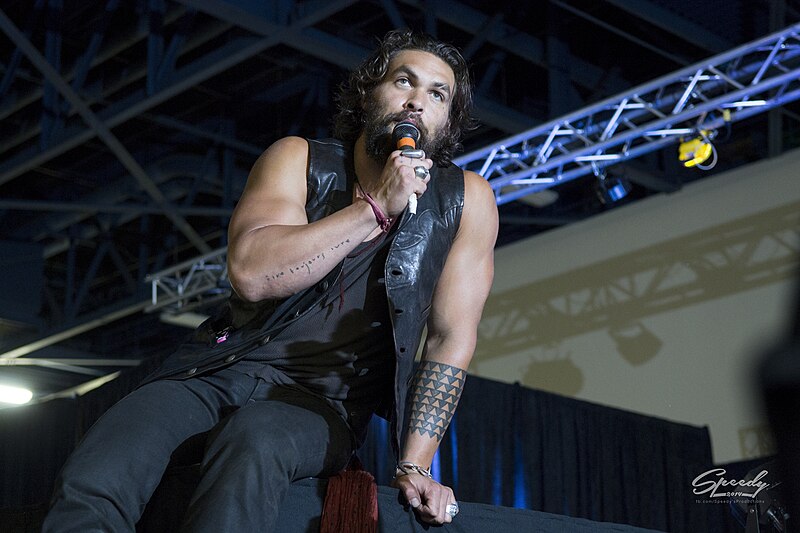 File:FSC2014 - Jason Momoa Q&A panel 84.jpg