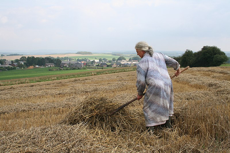 File:Falaën Mme Parisse - JPG01.JPG