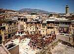 Sidi Moussa Tannery