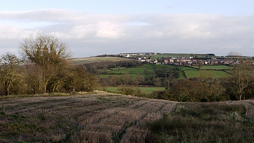 Field east of Brandon - Bishop Auckland Walk - geograph.org.uk - 2754406