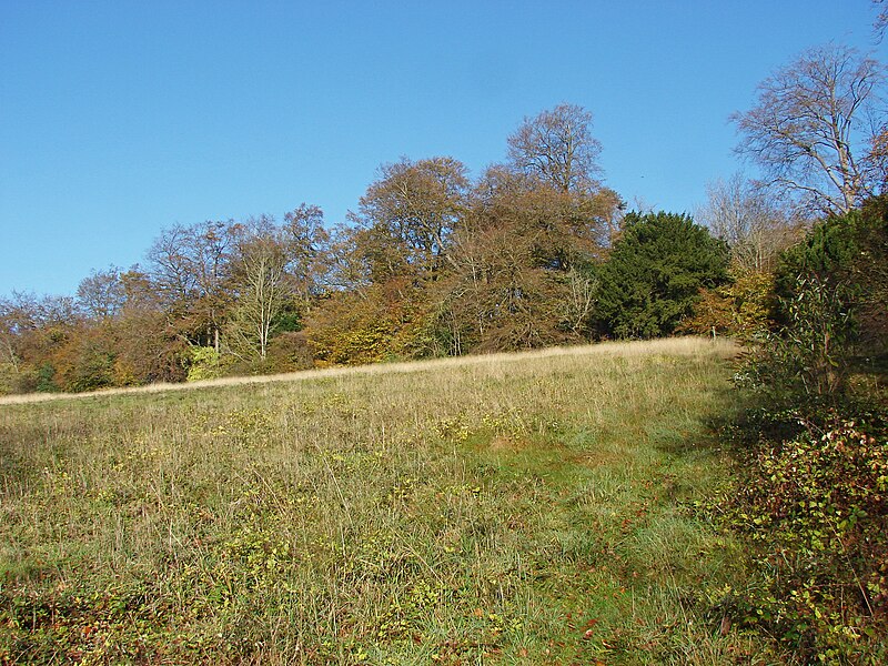 File:Field west of Netley Plantation - geograph.org.uk - 4244987.jpg