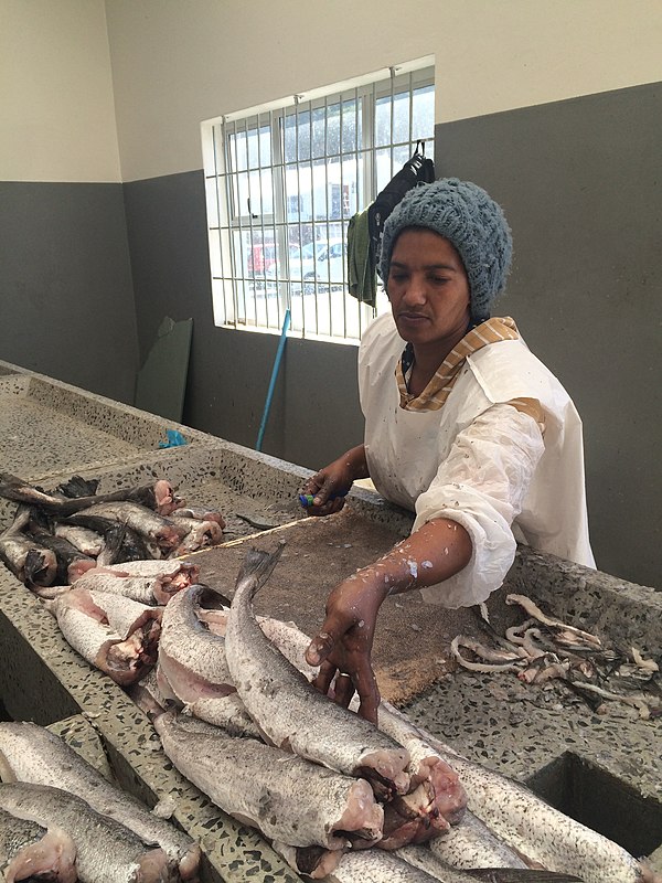 A worker preparing fish caught off the coast of South Africa