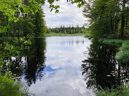 Filzbuchweiher