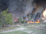 Thumbnail for List of Michigan wildfires