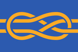Flag of FIAV.svg