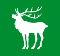 Zastava Občina Hjartdal