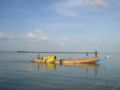 Vignette pour Casamance (fleuve)