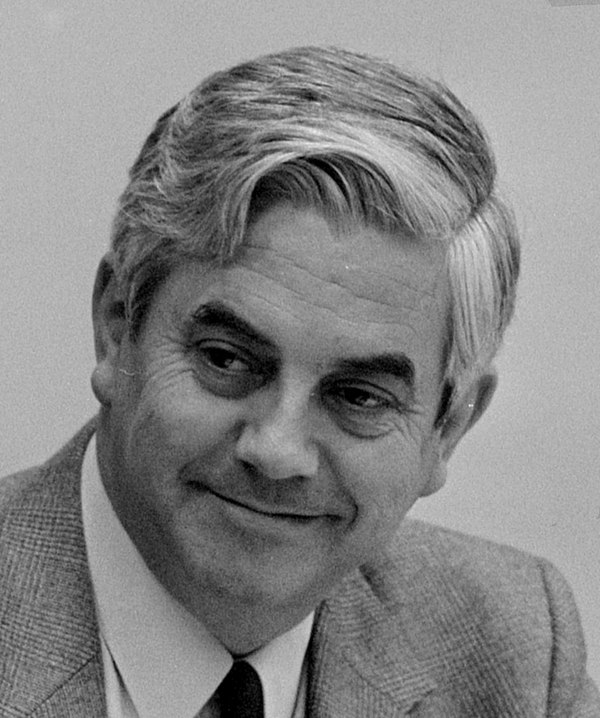 Frits Bolkestein, Leader from 1990 until 1998