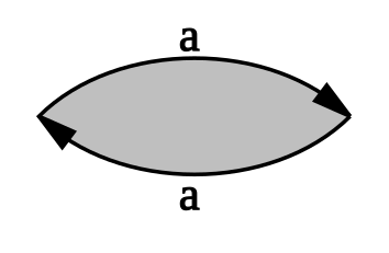 File:Fundamental polygon of the projective plane.svg