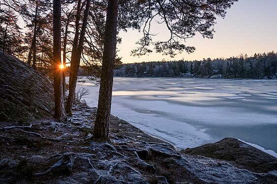 Lake Gömmaren in the winter. Photograph: Kateryna Baiduzha