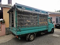 Kükentransporter