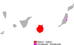 Área de distribución de Gallotia