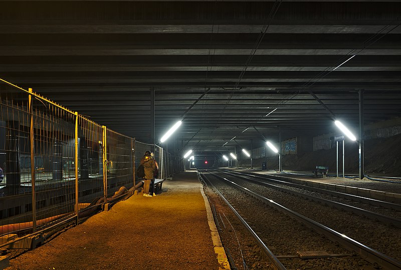 File:Gare de Boitsfort platforms on a foggy morning in December (Belgium).jpg