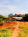 Một khu vườn nhỏ trong một khu nhà ở Burundi.