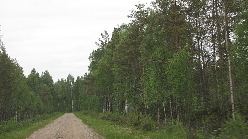 File:Gravel road in Alkkianneva, Karvia.JPG