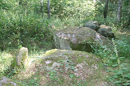 Großsteingrab Thölstedt 04