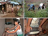 サン・ラモン（ホンジュラス）にて、女性が石皿を使っている様子。1999年5月