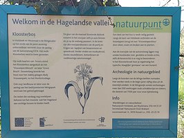 Hagelandse vallei