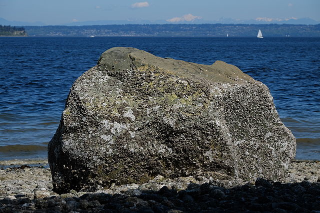 A boulder sits on a cobbled beach in bright sunlight with a stretch of blue water behind it. On the horizon are low forested hills. There is a snow covered volcano on the far distance. A few sailboats are in the water.