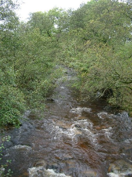 Hermitage Water, upstream from the bridge to Hermitage Castle Hermitage Water - geograph.org.uk - 70142.jpg