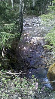 The confluence of the Hinterer Heinzenbach (passed through Rohr) into the Steinbach from the right, Steinbach flowing from left to right