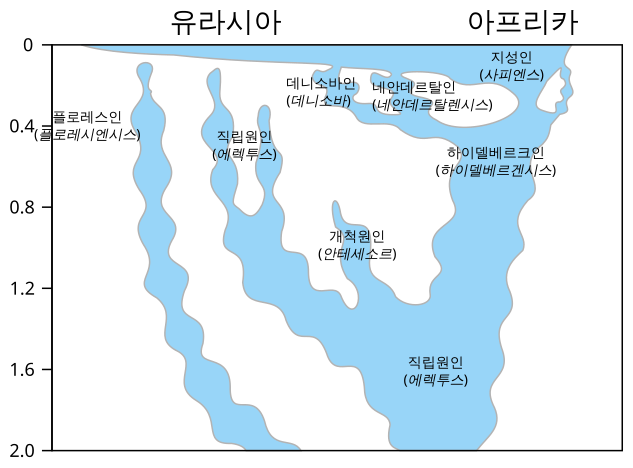 File:Homo-Stammbaum, Version Stringer-ko.svg