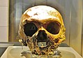 Schädel eines Neandertalers aus der Guattari-Höhle