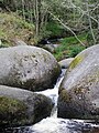 Rochers près de la Mare aux sangliers.