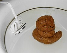 Human feces photographed in a toilet, shortly after defecation. Human Feces.jpg