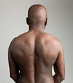 Human back on gray background.jpg