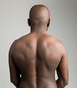 Image result for back body