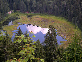 Nationaal Park Schwarzwald: Natuurgebied in Baden-Württemberg, Duitsland