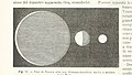 Image taken from page 132 of 'La Terra, trattato popolare di geografia universale per G. Marinelli ed altri scienziati italiani, etc. (With illustrations and maps.)' (11149927215).jpg