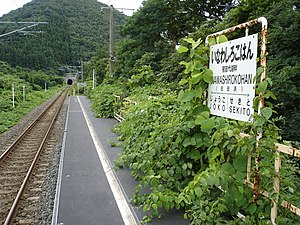 Inawashirokohan station.JPG