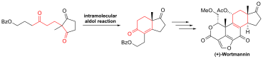 Fig. 2: Intramolecular aldol reaction in the total synthesis of (+)-Wortmannin. Intramolecular aldol reaction in the total synthesis of Wortmannin.svg