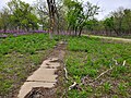 Irving, KS Sidewalk.jpg